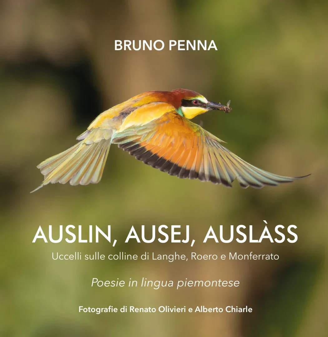 Copertina Auslin Ausej Auslàss