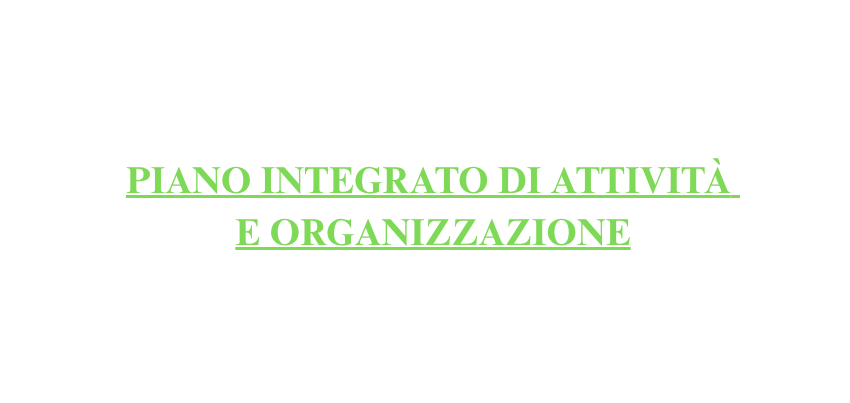 piano integrato di attività e organizzazione